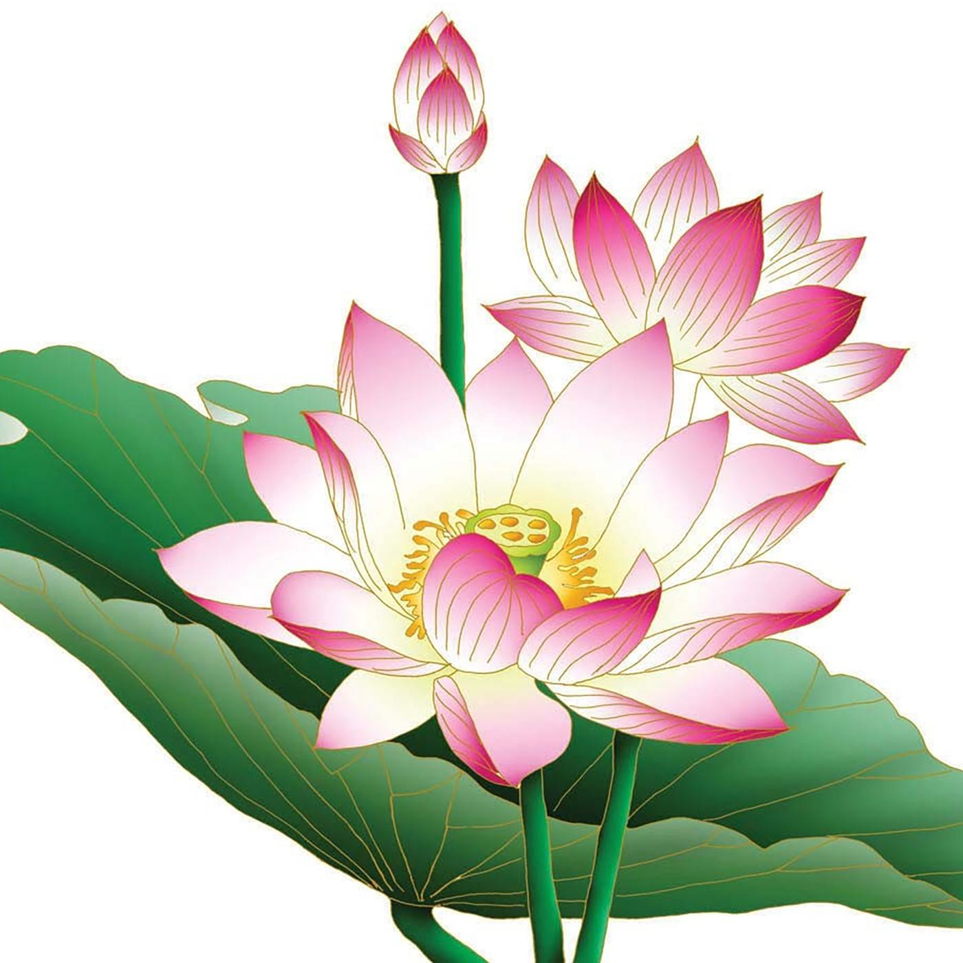 София Монкут